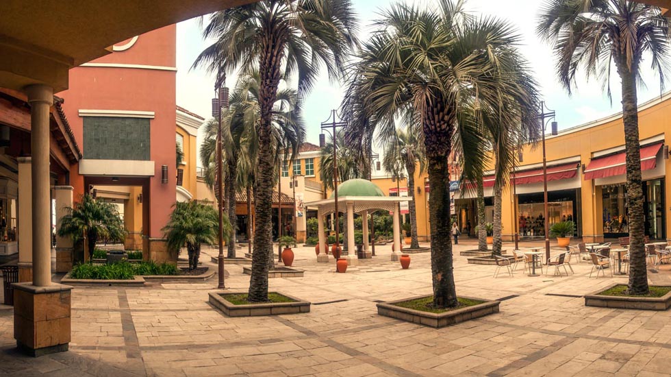 Palmas de Pilar